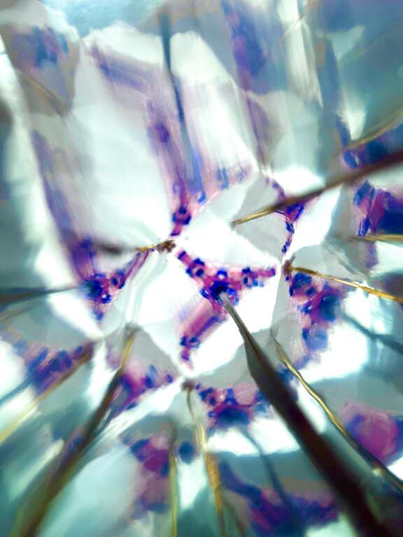 実際に作った万華鏡の中を撮影しました。当日はもっと色々な飾りを中に詰め込めます!